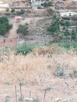 ارض للبيع في الباذان