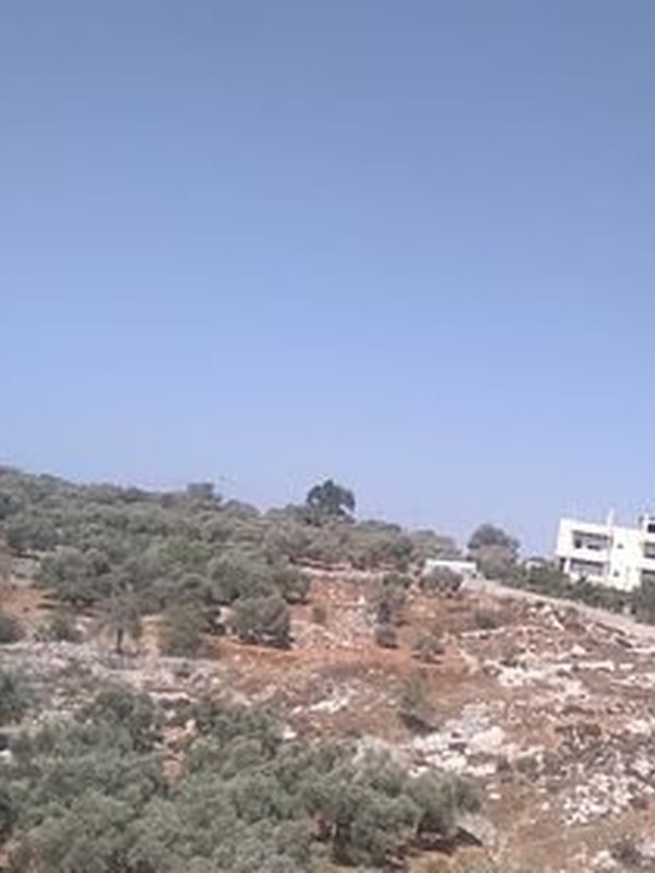 ارض للبيع في عاصيرة الشمالية