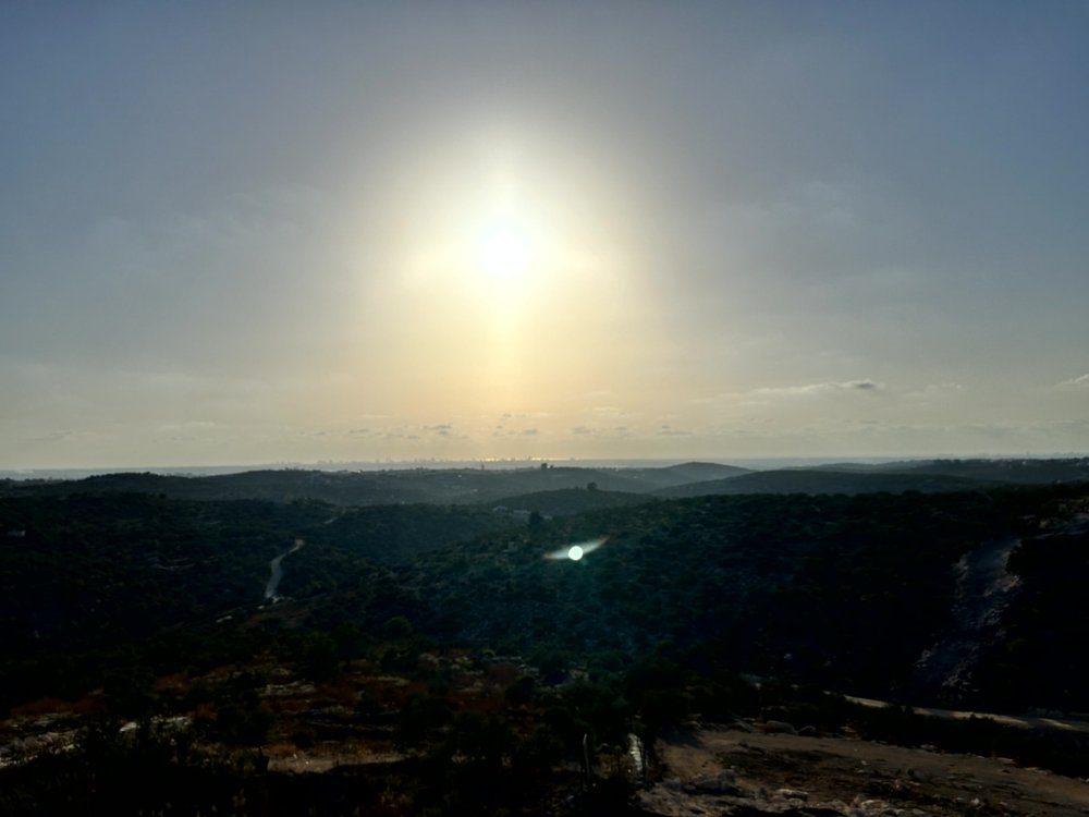 ارض 2 دونم في بلعا للبيع