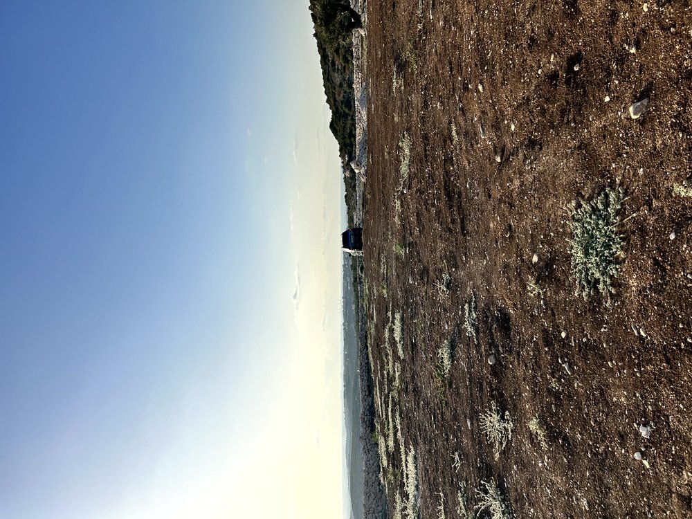 ارض 2 دونم في بلعا للبيع