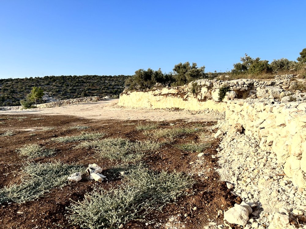ارض 2 دونم في بلعا للبيع
