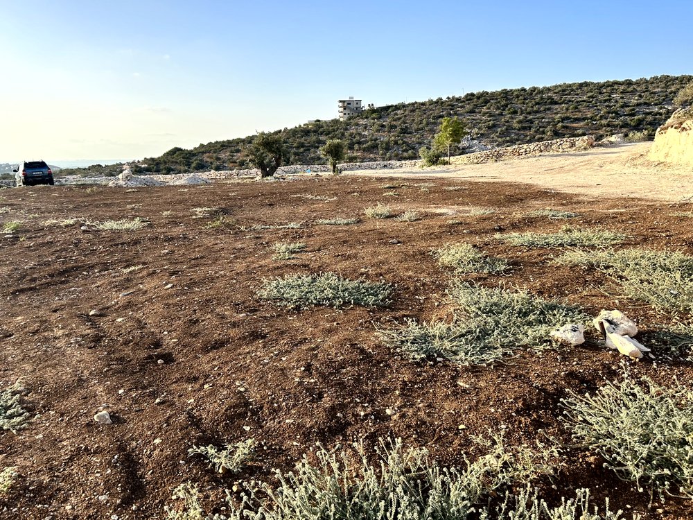 ارض 2 دونم في بلعا للبيع