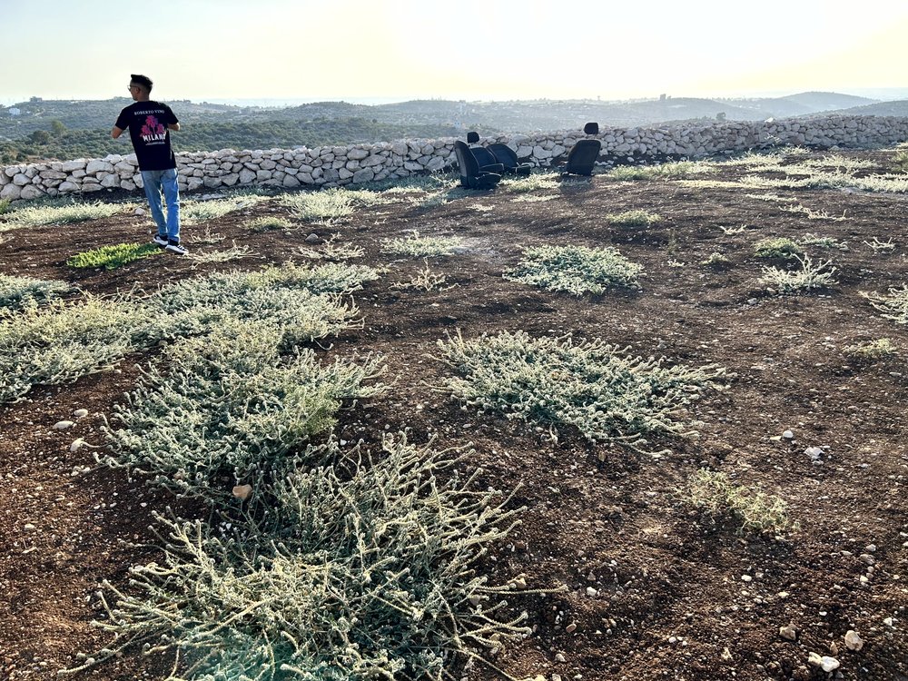 ارض 2 دونم في بلعا للبيع