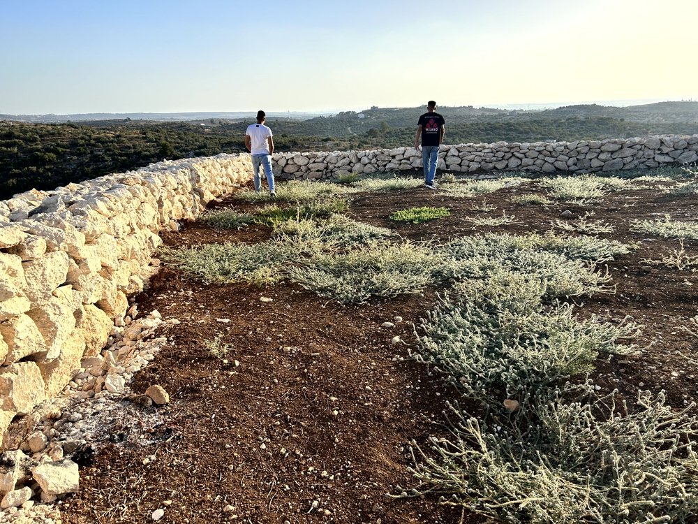 ارض 2 دونم في بلعا للبيع