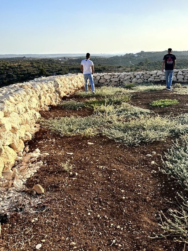 ارض 2 دونم في بلعا للبيع