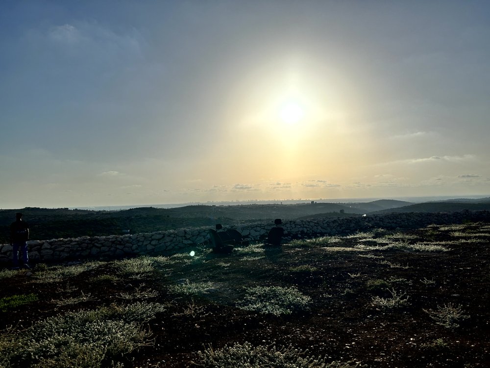 ارض 2 دونم في بلعا للبيع