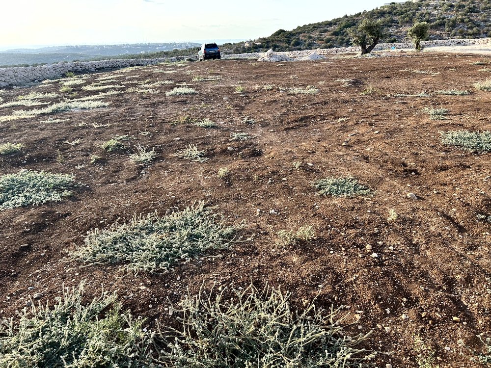 ارض 2 دونم في بلعا للبيع