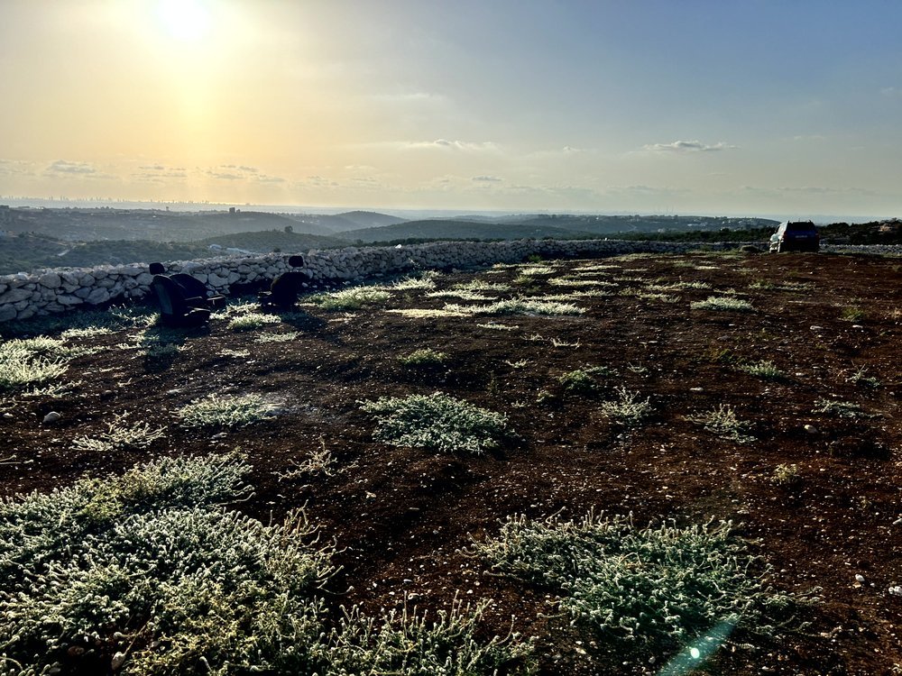 ارض 2 دونم في بلعا للبيع