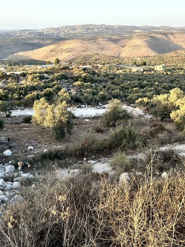 اراضي للبيع منطقة الاقواس - بلعا