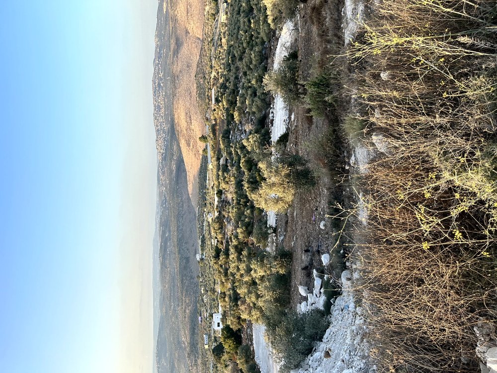 اراضي للبيع منطقة الاقواس - بلعا