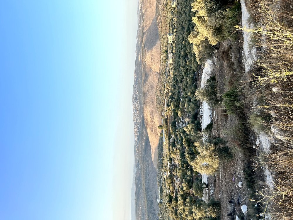 اراضي للبيع منطقة الاقواس - بلعا