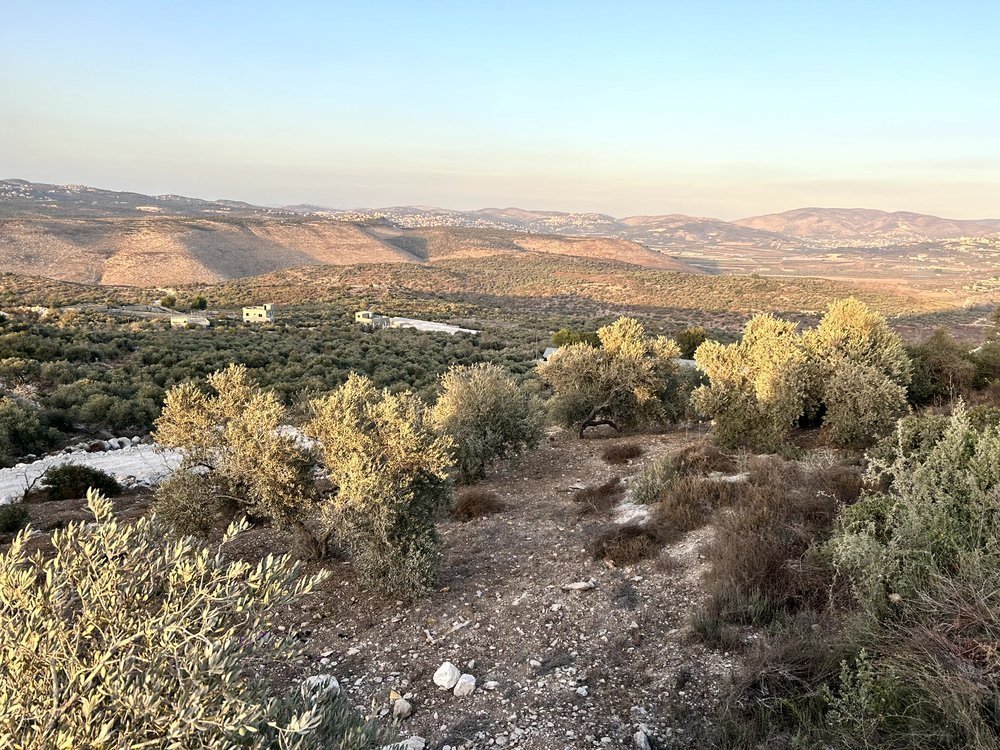 قطع اراضي للبيع في منطقة السهلات - بلعا