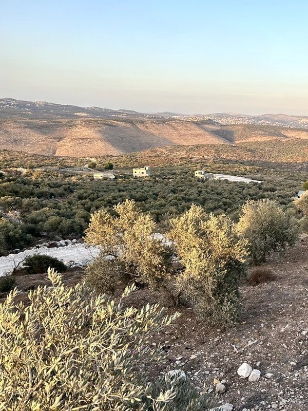 قطع اراضي للبيع في منطقة السهلات - بلعا