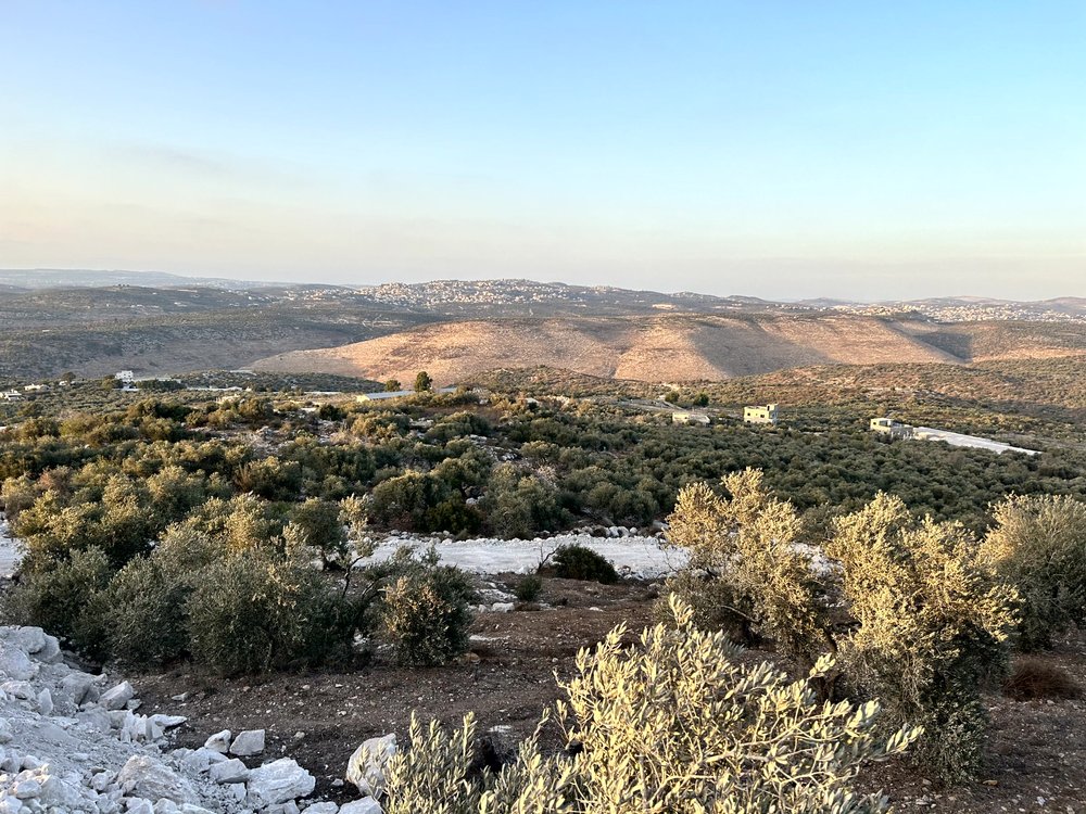 قطع اراضي للبيع في منطقة السهلات - بلعا