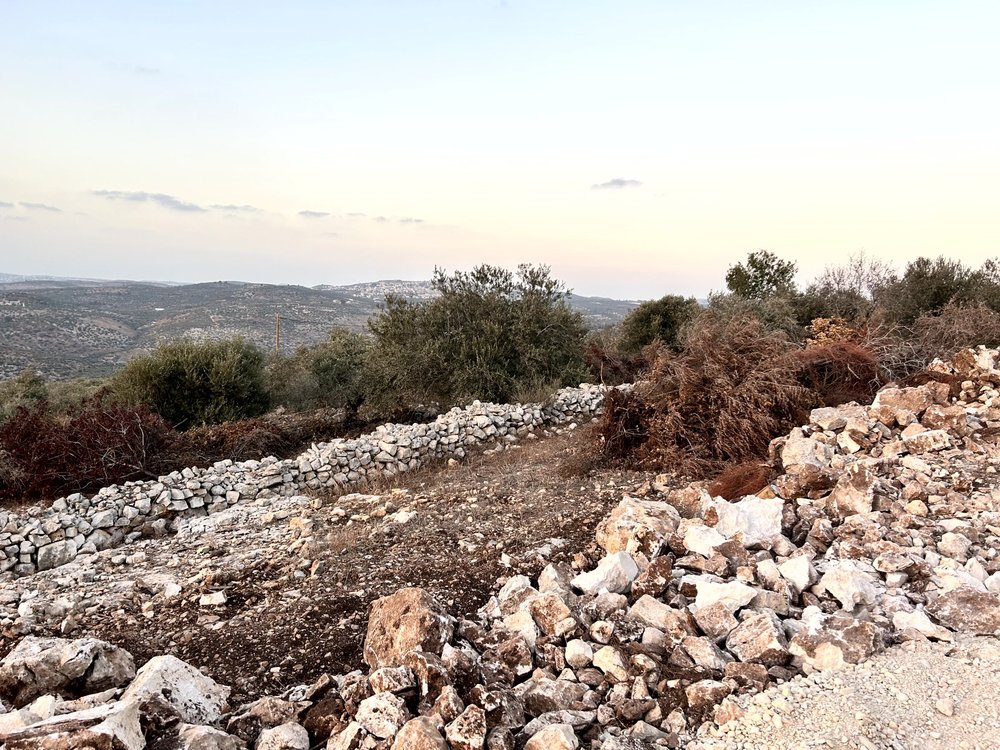 قطع اراضي للبيع في منطقة السهلات - بلعا