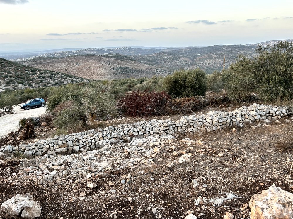 قطع اراضي للبيع في منطقة السهلات - بلعا