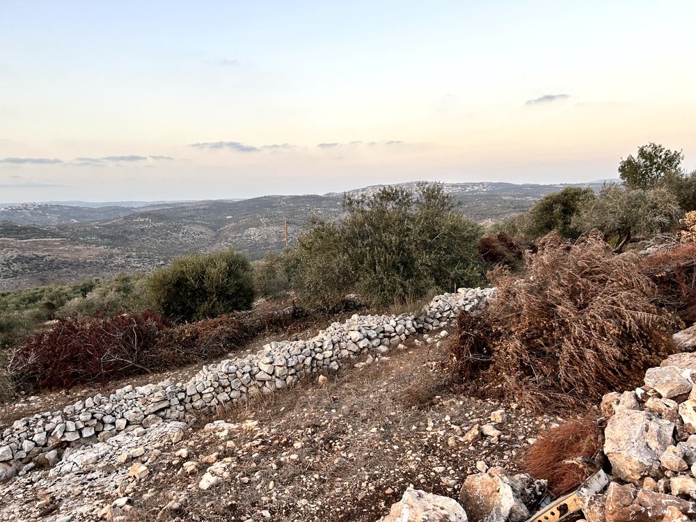 قطع اراضي للبيع في منطقة السهلات - بلعا