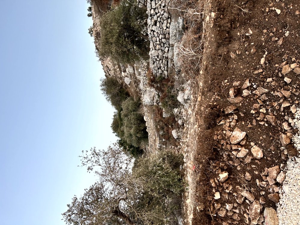 قطع اراضي للبيع في منطقة السهلات - بلعا