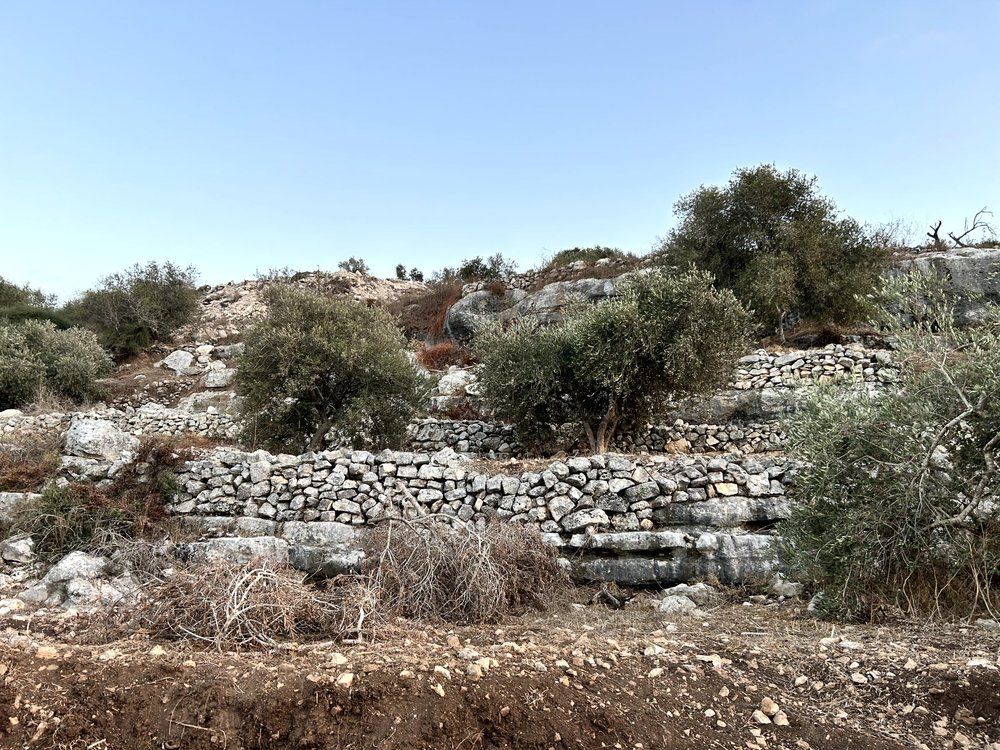 قطع اراضي للبيع في منطقة السهلات - بلعا