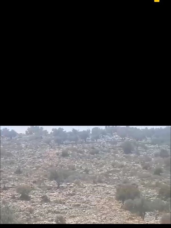 ارض للبيع في عابود رام الله