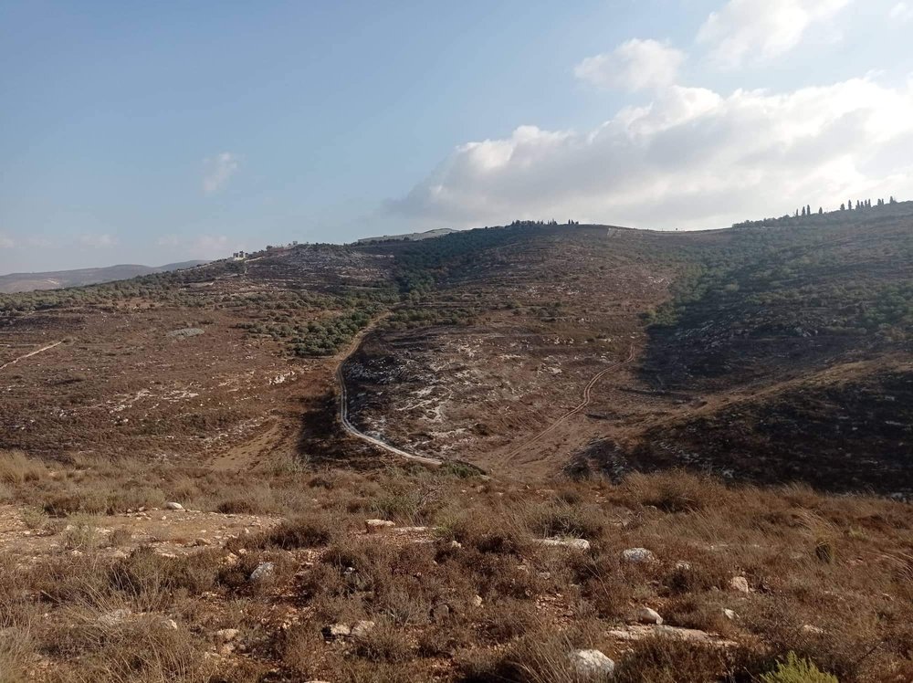 ارض للبيع في عصيرة الشمالية