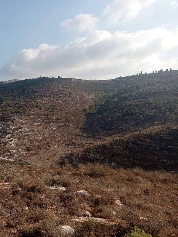 ارض للبيع في عصيرة الشمالية