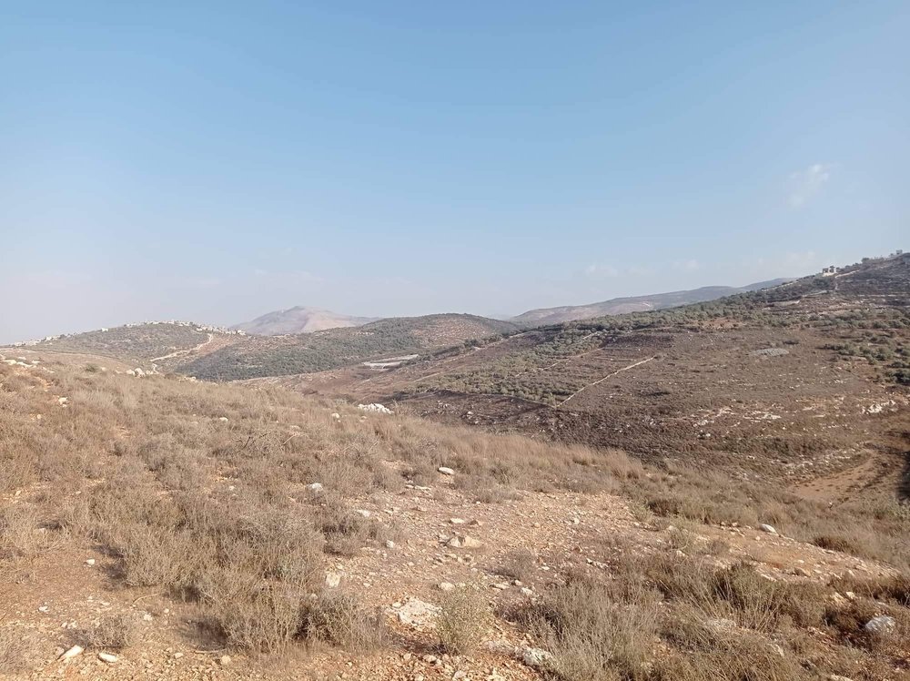 ارض للبيع في عصيرة الشمالية